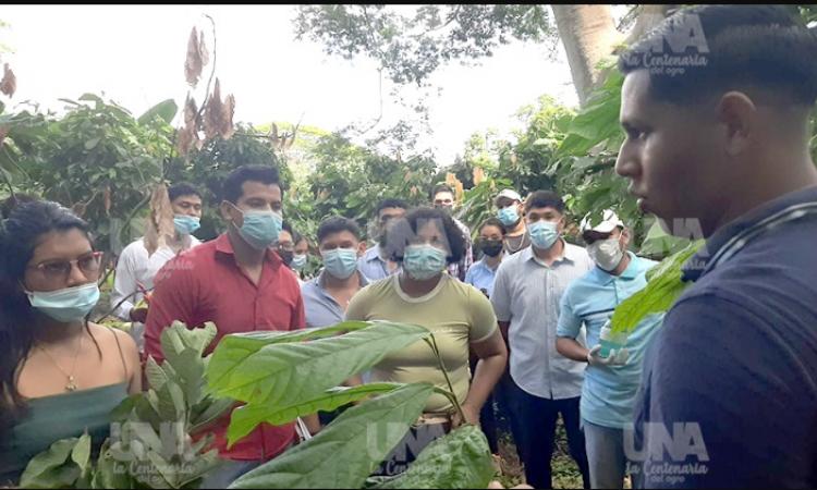 Estudiantes de la UNAN León experimentan en el Laboratorio de Cultivos de Tejidos Vegetales
