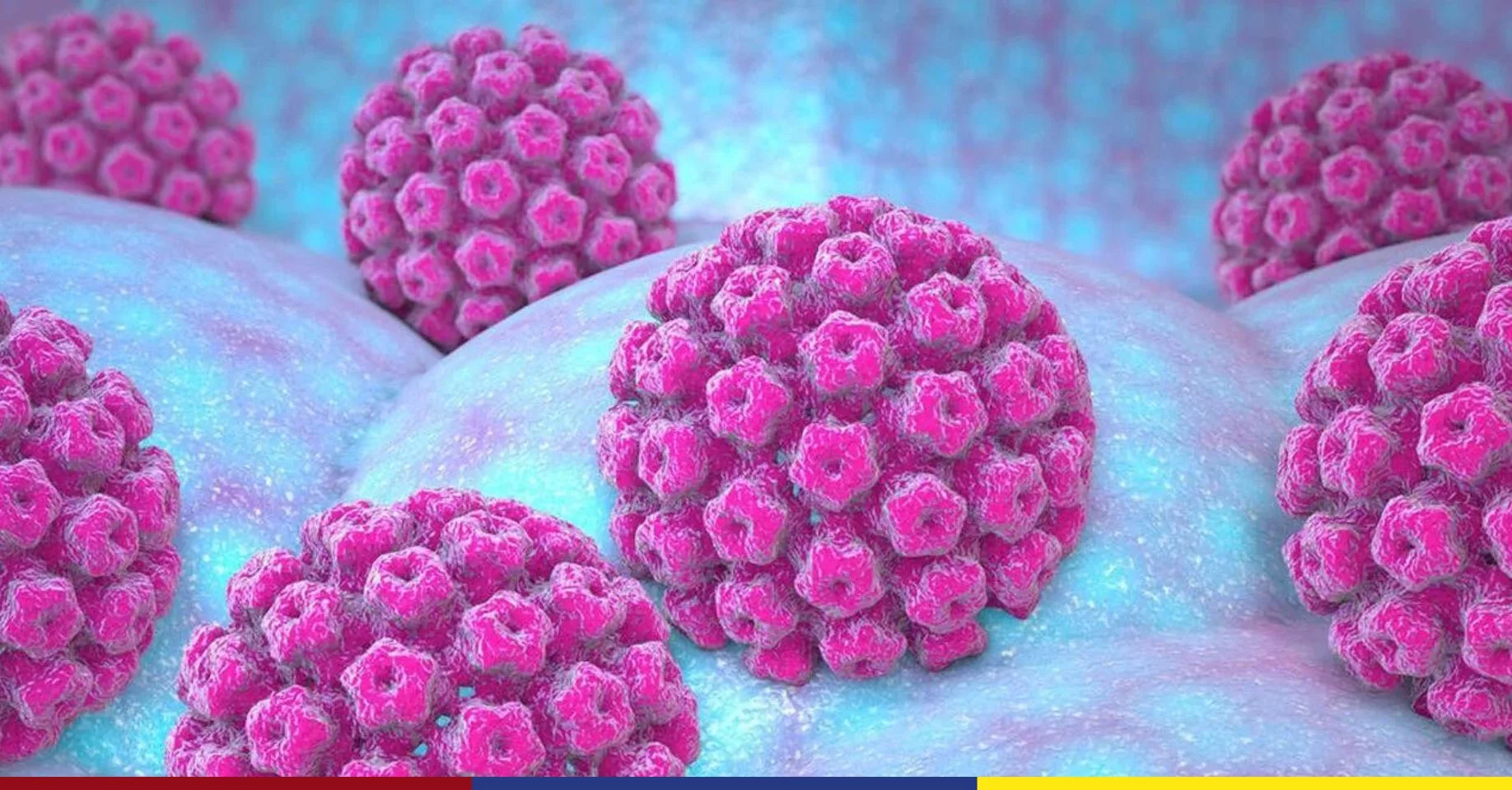 Virus del Papiloma Humano - UNAN León