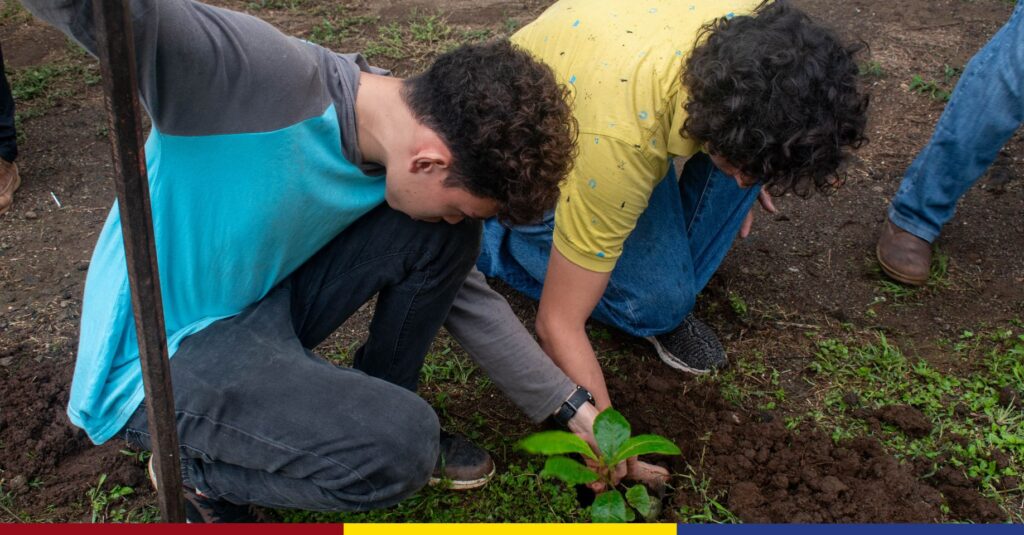 UNAN-León realiza jornada de reforestación y embellecimiento en saludo al Día Mundial del Medio Ambiente