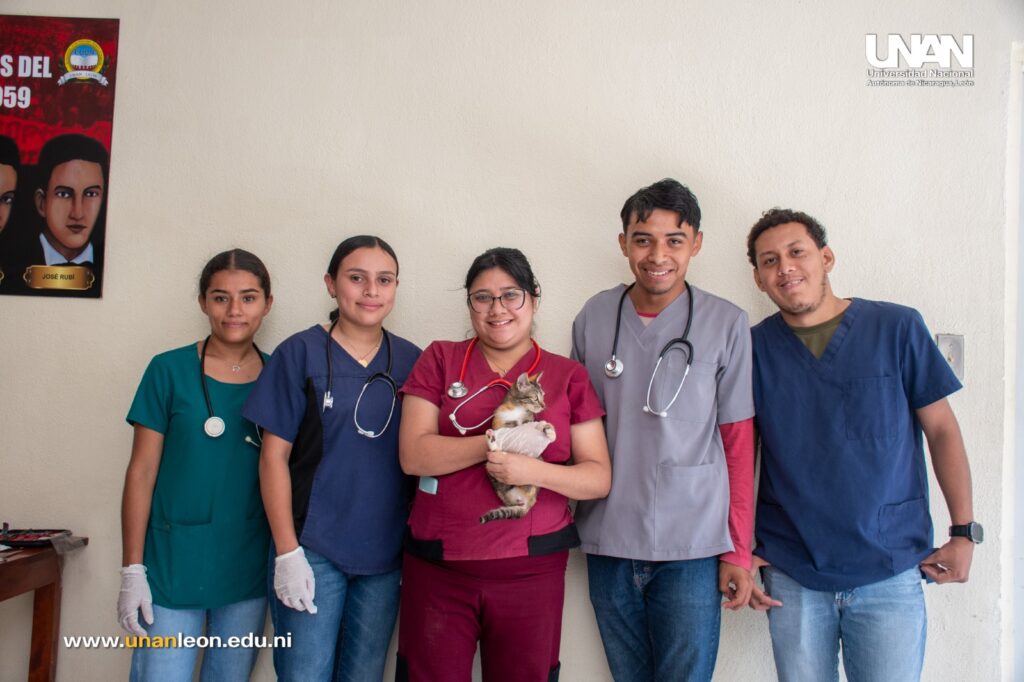 WhatsApp Image 2025-11-17 at 10.09.04 AM (2)