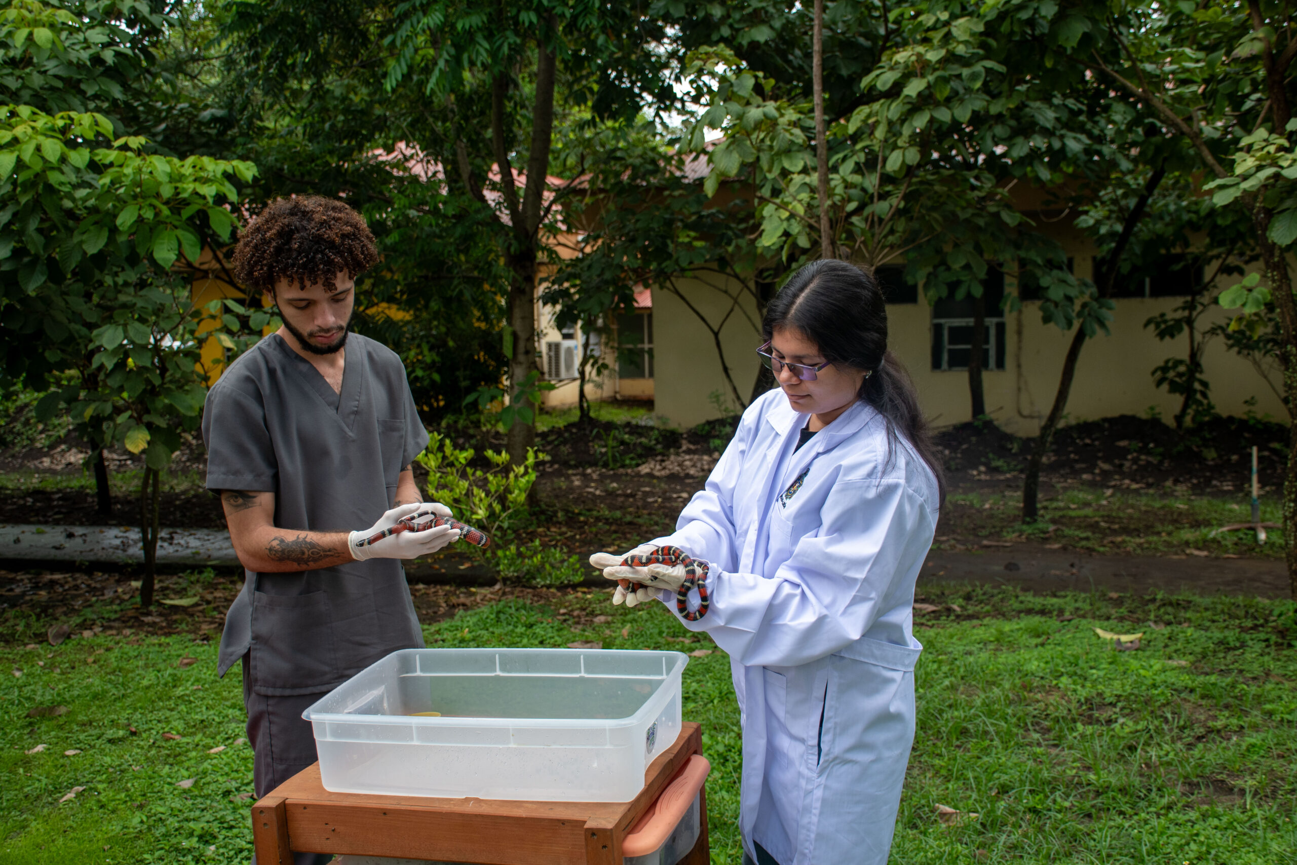 Estudiantes de veterinaria