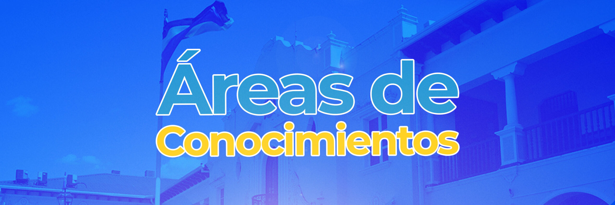 Áreas de Conocimientos